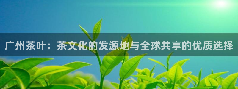 安信锐赢134号12月