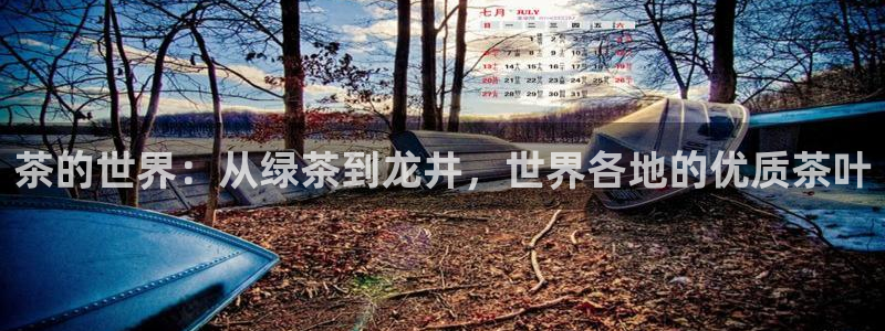 安信12靠谱吗