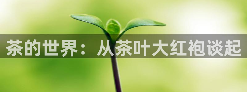 安信12娱乐开户