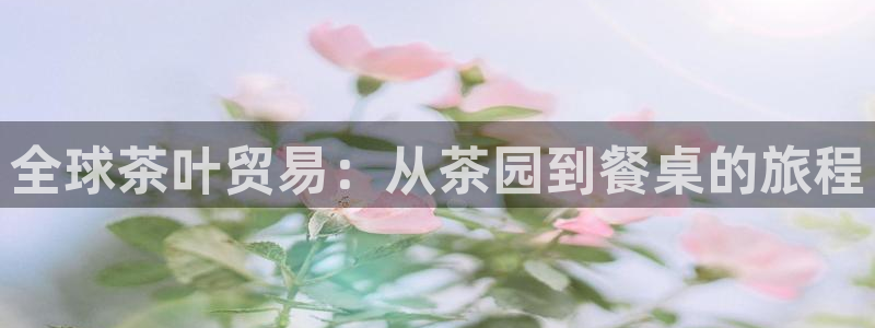 安信可wb12