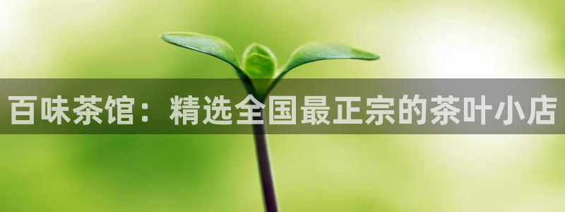 安信12是正轨网站吗