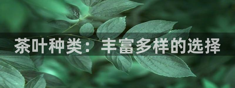 安信12周年
