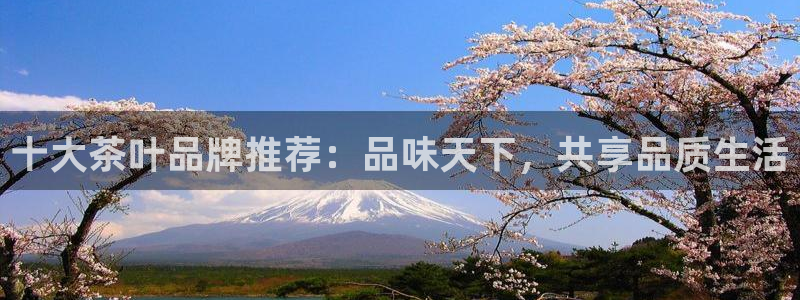 安信12娱乐注册