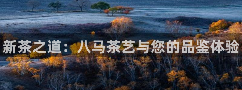 信安12