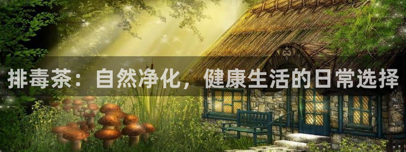 安信12招商