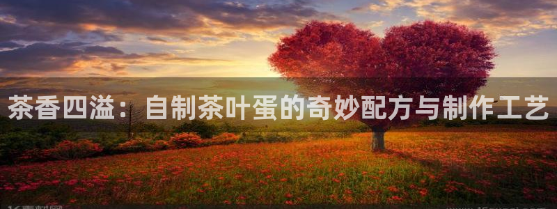 安信12平台