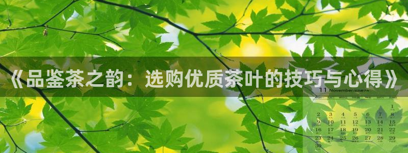 信安杯12