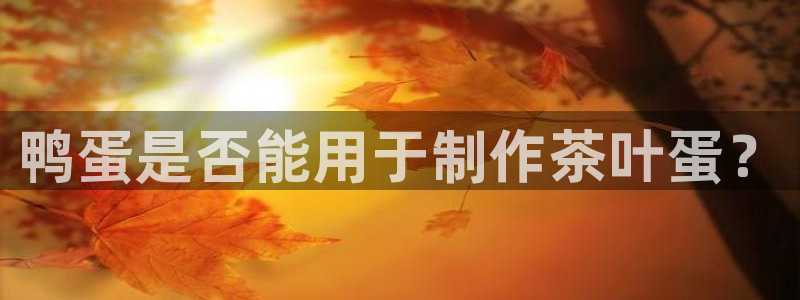 安信12如何开代理