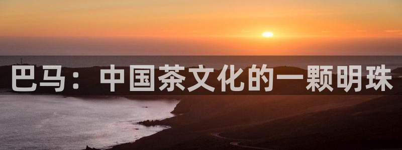安信12代理