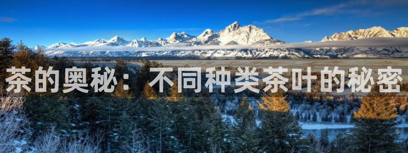安信12娱乐招商
