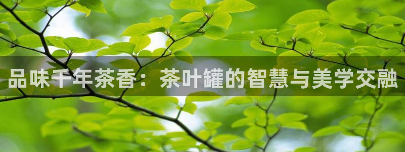 安信锐赢134号12月