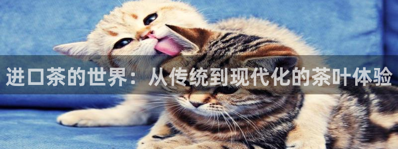安信12是什么软件