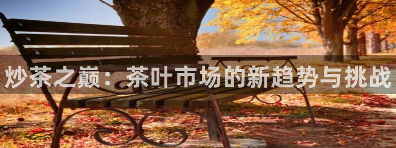 安信主管su金12手12指tq