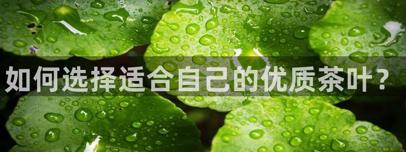 安信可12f代码