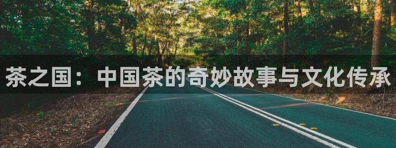 安信12娱乐平台