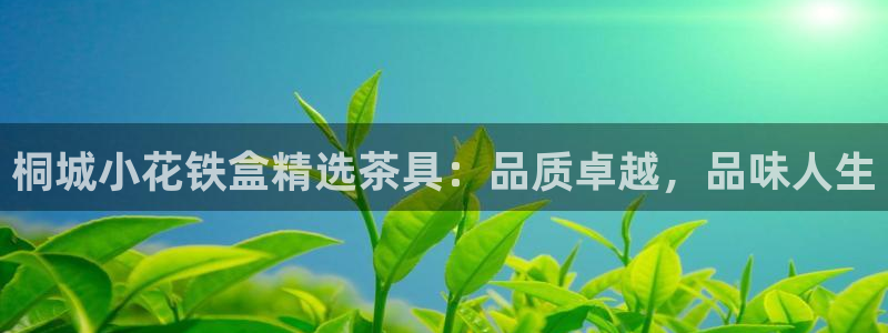 安信12怎么下载