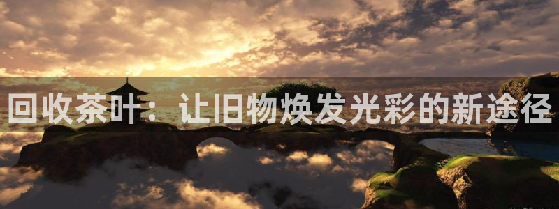安信12挂机