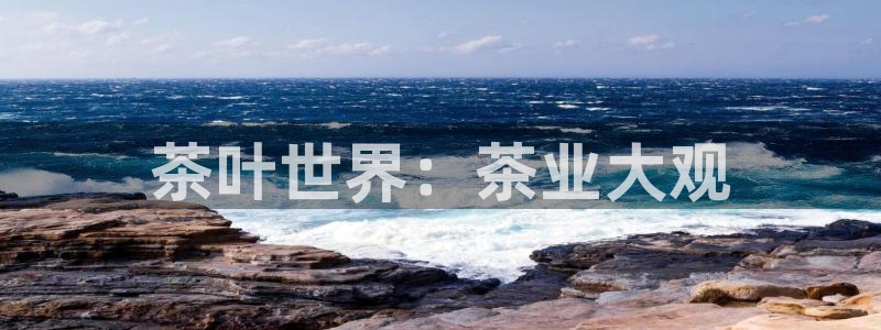 安信安盈12最新消息