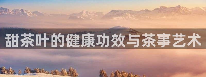 安信12是啥