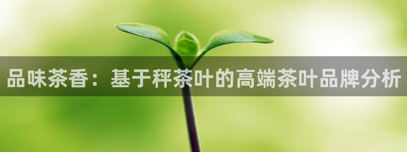 安卓12微信