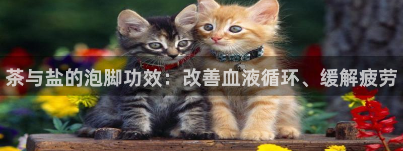 安信12娱乐代理