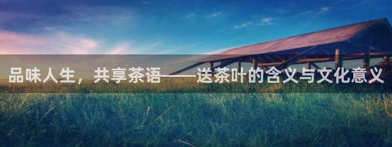 安信12赛车