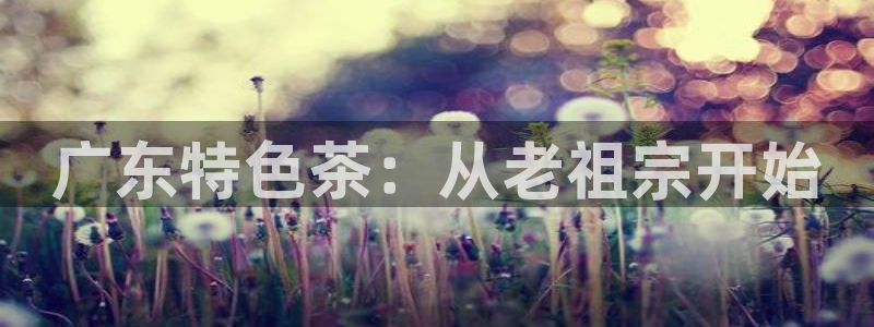 安信安赢12号