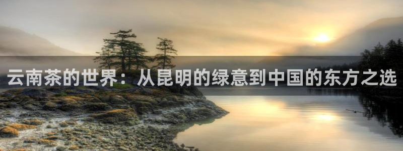 安信12主管