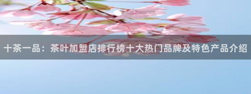 安信12位资金账号