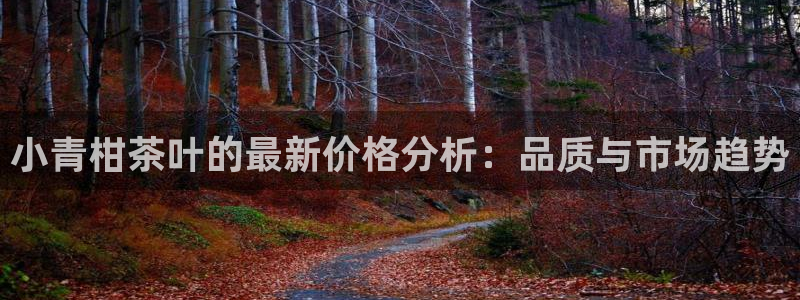安信12是正规平台吗