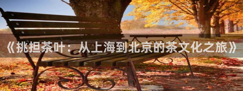 安信安盈12最新消息