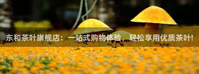 安信12平台下载
