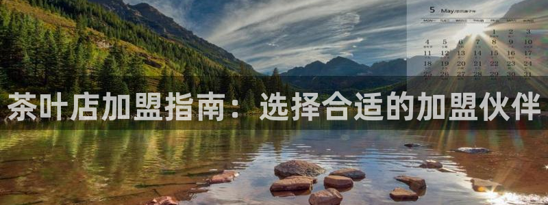 安信12专用挂机