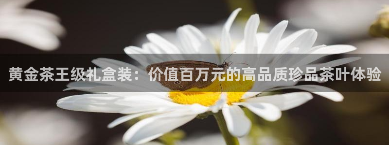 安信12登录地址