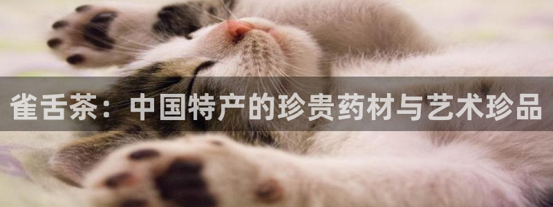 安信12娱乐招商探索空间