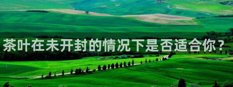 安信12包赔