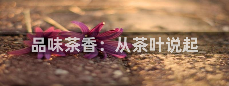 安信可12f代码