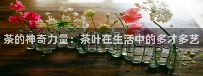 安信主管ke金12手12指ho