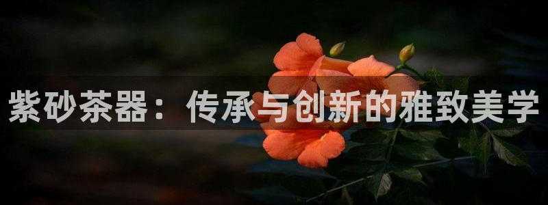 安信12代理
