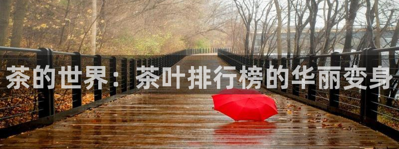 安信12网站