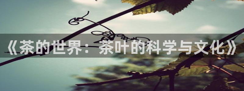 安信12是做什么