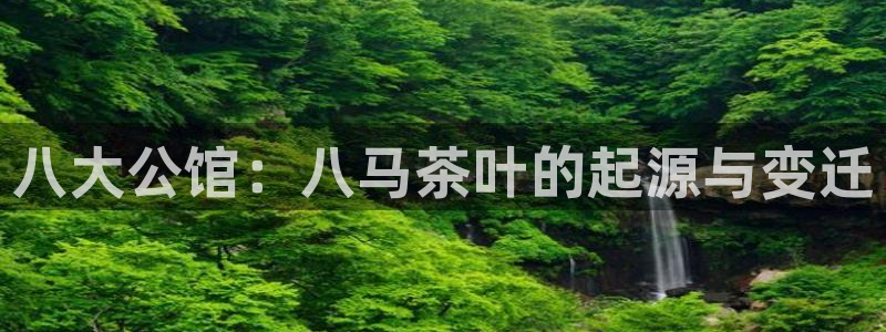 安信证券手机壳12