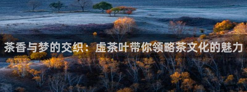 安信12彩票在线网址
